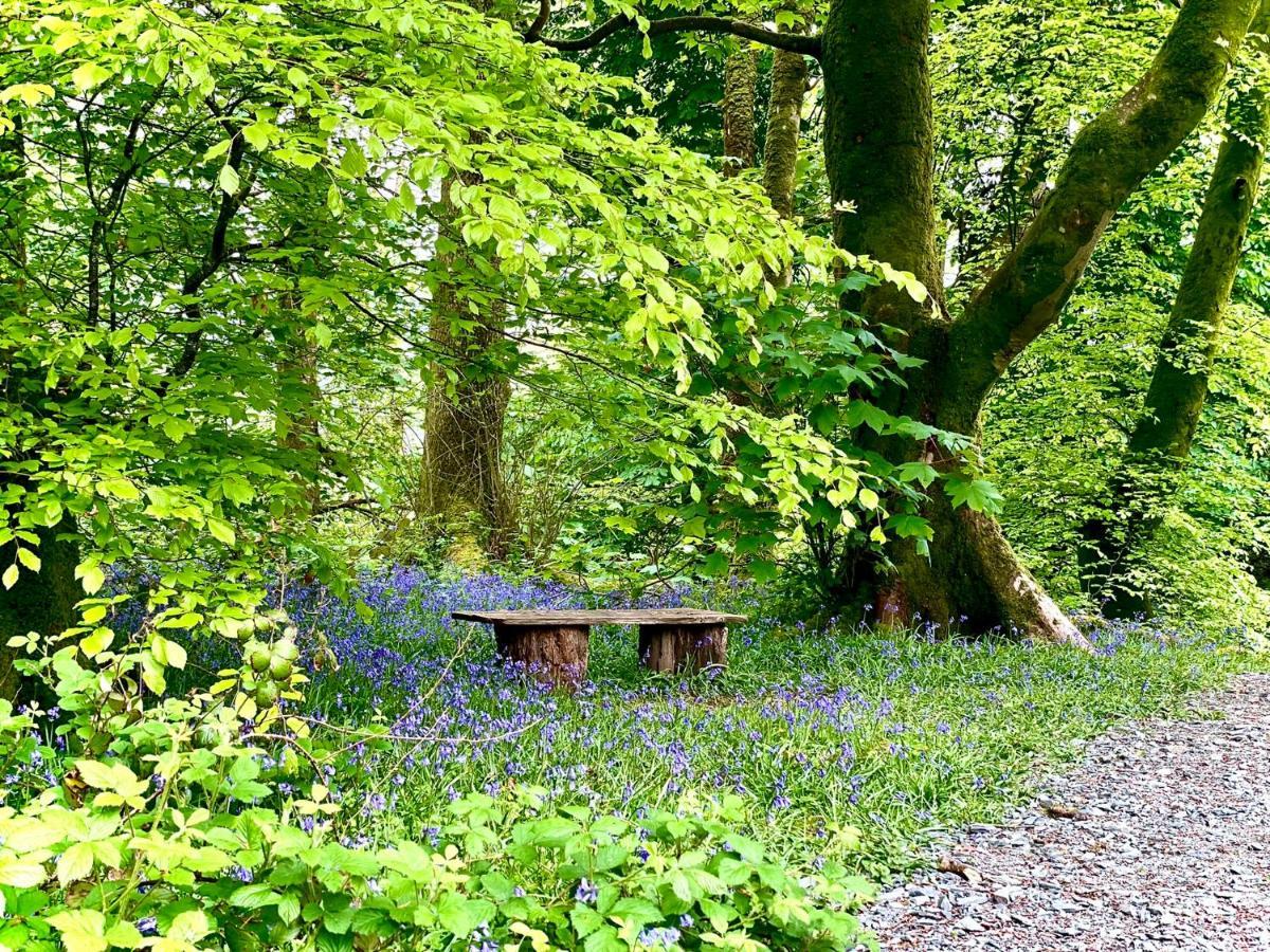 Prenteg Snowdonia Holidays Caravan Hire - Aberdunant Park - 34 The Green מראה חיצוני תמונה