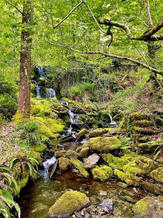 Prenteg Snowdonia Holidays Caravan Hire - Aberdunant Park - 34 The Green מראה חיצוני תמונה