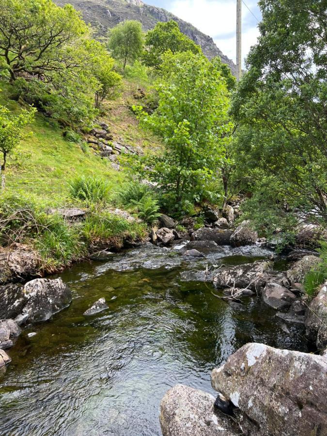 Prenteg Snowdonia Holidays Caravan Hire - Aberdunant Park - 34 The Green מראה חיצוני תמונה
